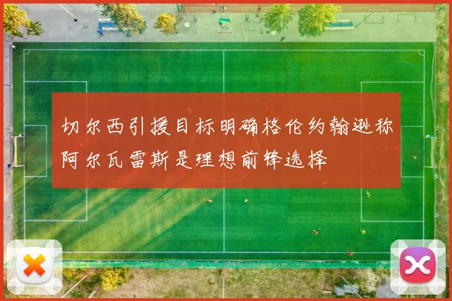 切尔西引援目标明确格伦约翰逊称阿尔瓦雷斯是理想前锋选择