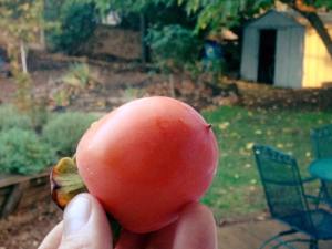 10291096_10153693627989414_6086973930386643663_n